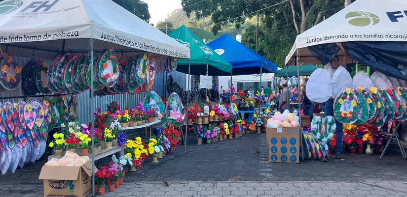 fotos-4