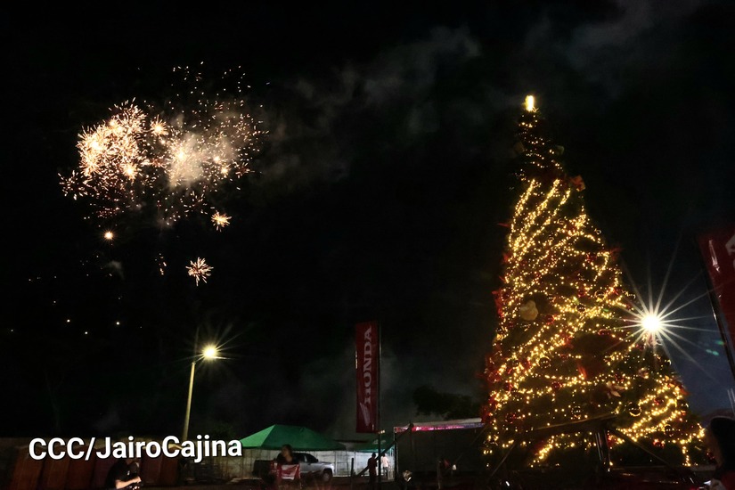 arbol-(6)