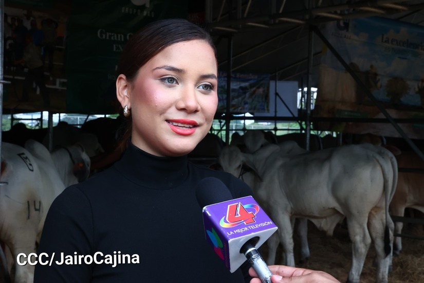 feria-3