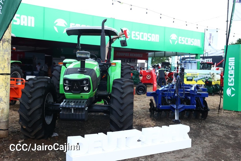 feria-9
