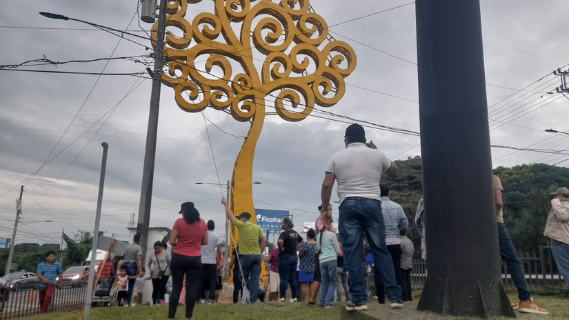 ARBOL-(2)