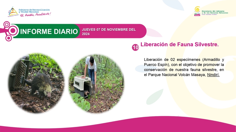 MARENA10