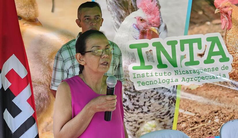 inta-2