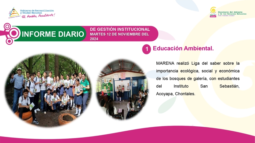 INFORME1