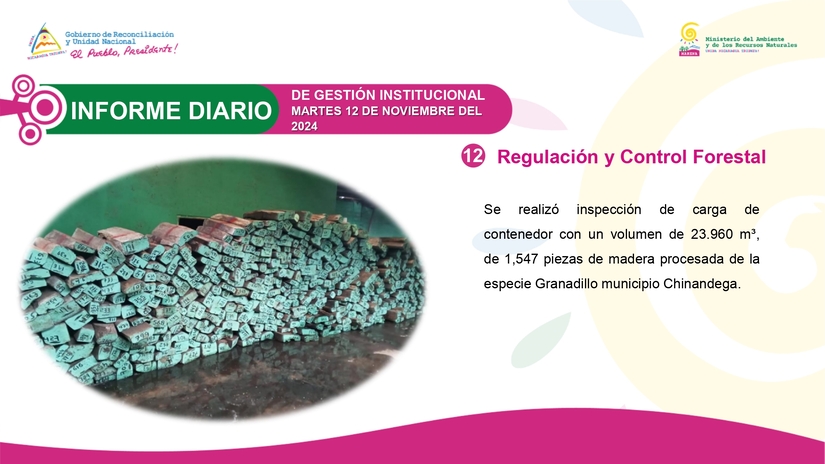 INFORME12