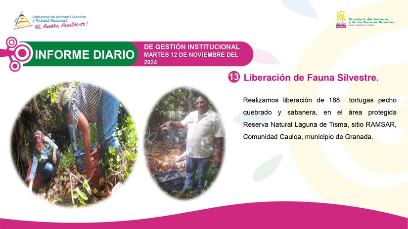 INFORME13