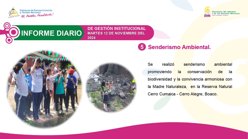 INFORME5