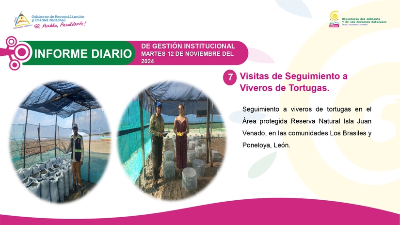 INFORME7