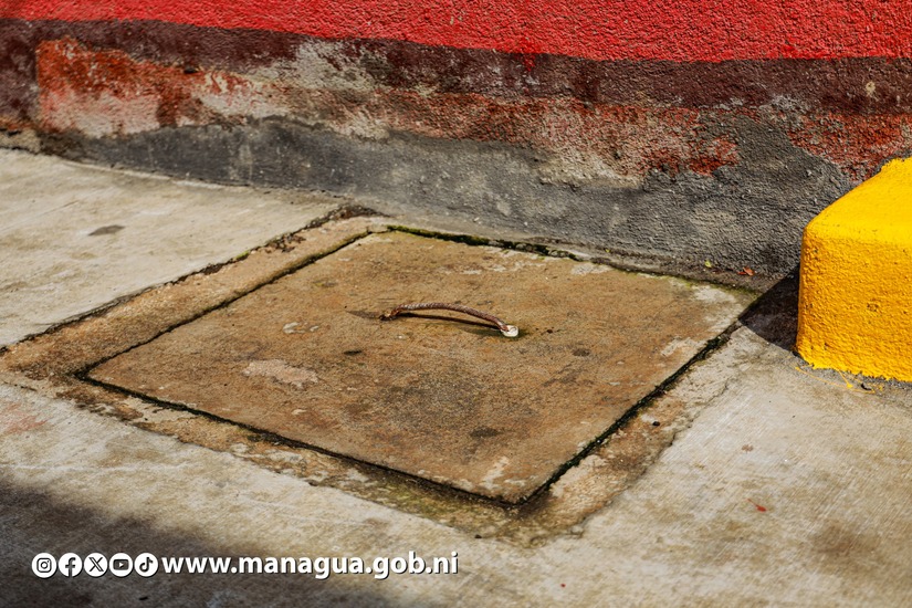 calles6