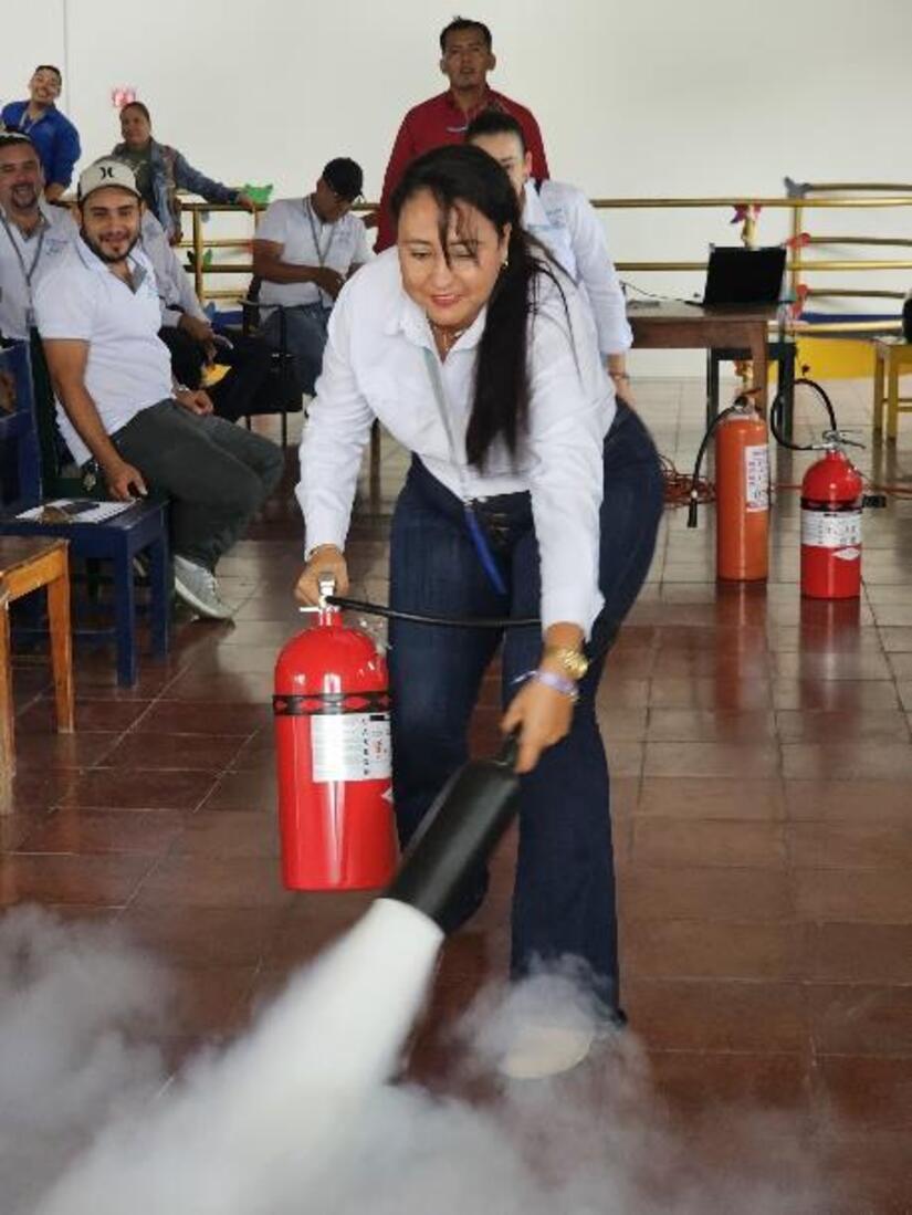 IPSA2