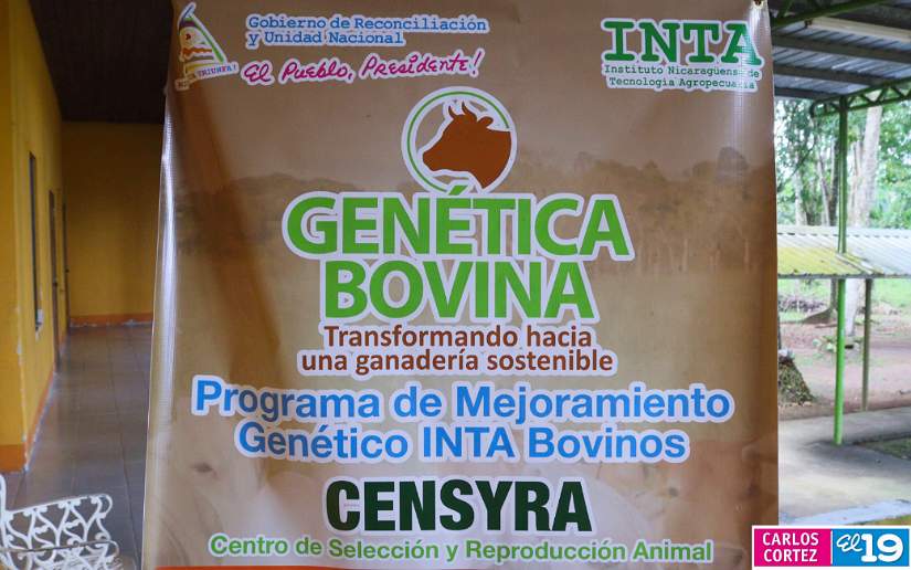 CENTRO5