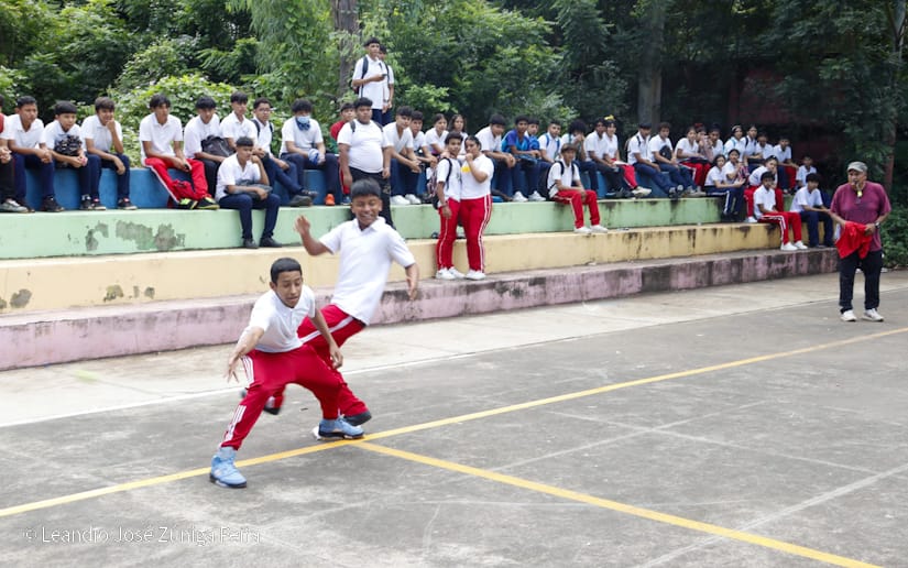 BEISBOL9