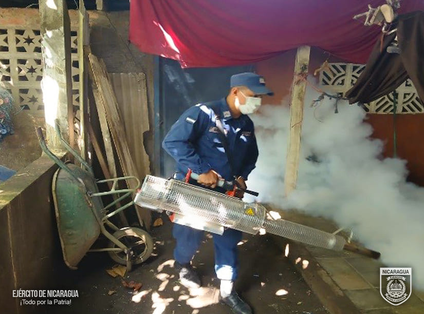 FUMIGACION1