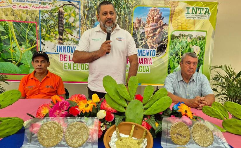 nopal6