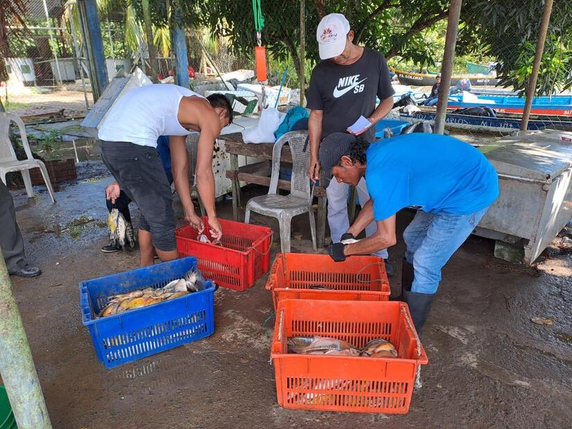 PESCA6