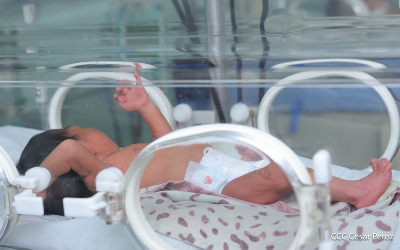 bebes2