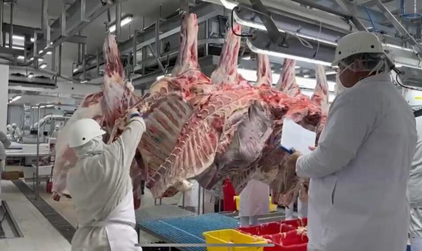 CARNE4