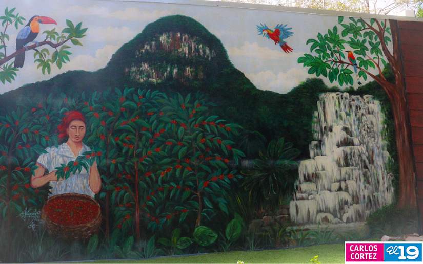 FOTOS49