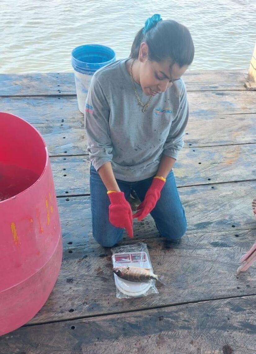 INPESCA4