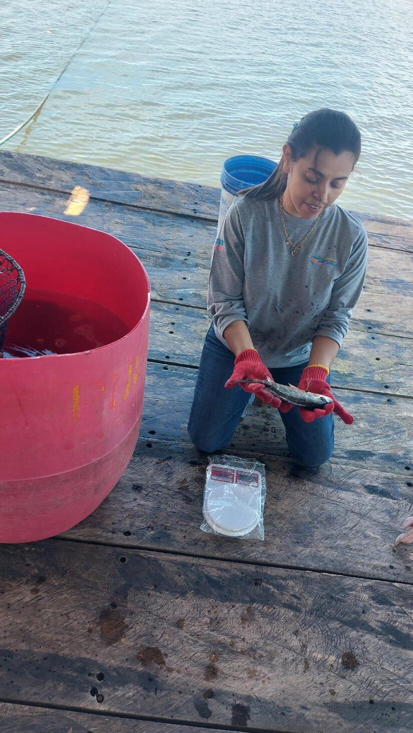 INPESCA5