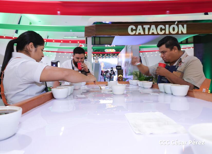 cafe13