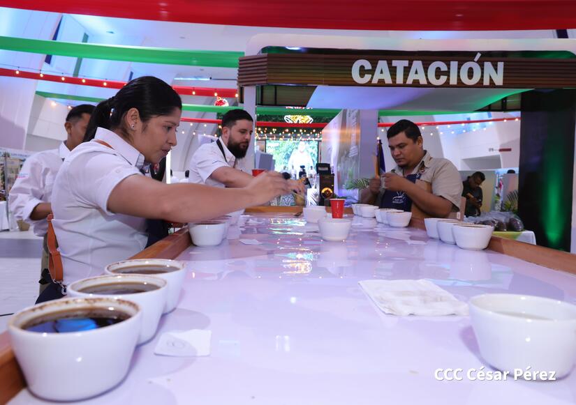 cafe14