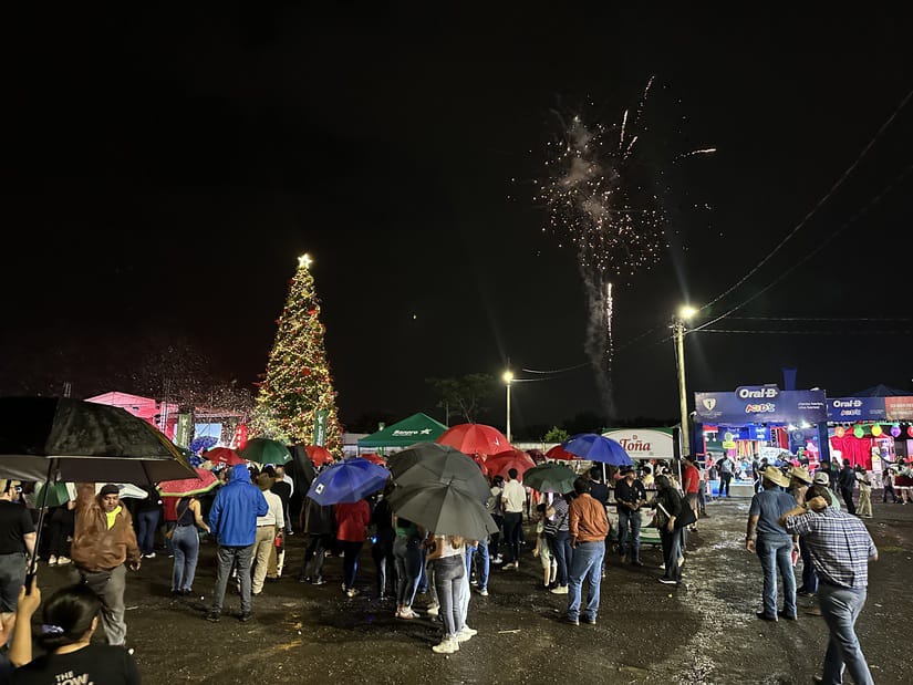FERIA-6