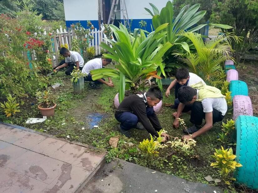 escuelas-verdes13