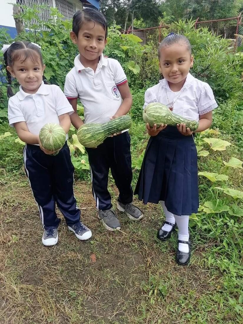 escuelas-verdes5