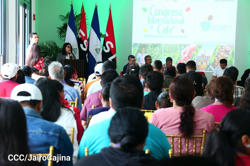 cafe2