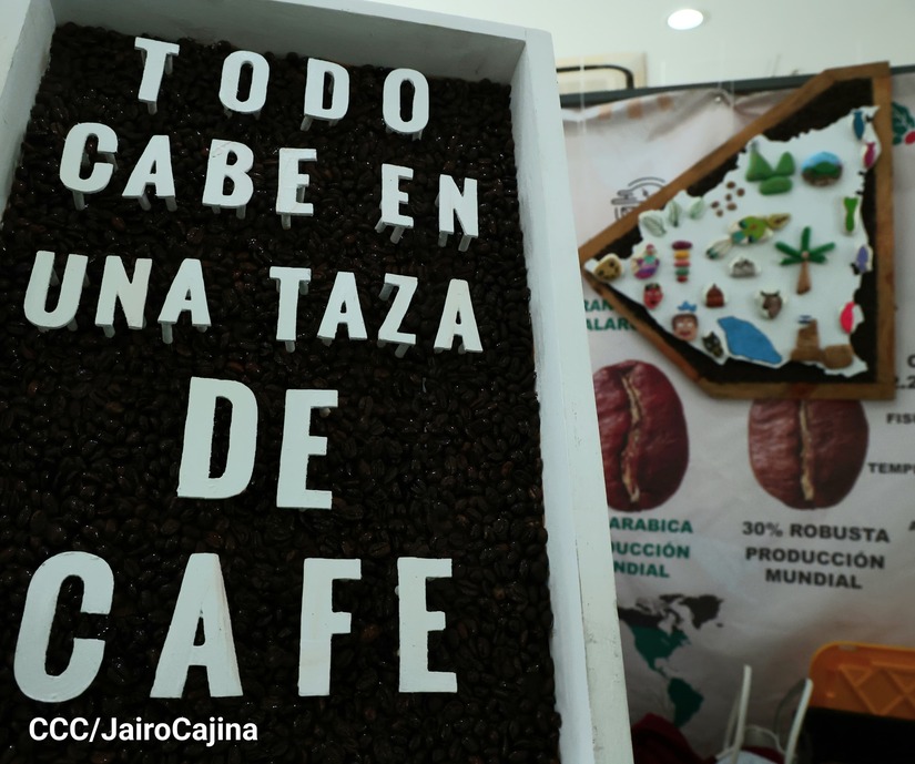 cafe8