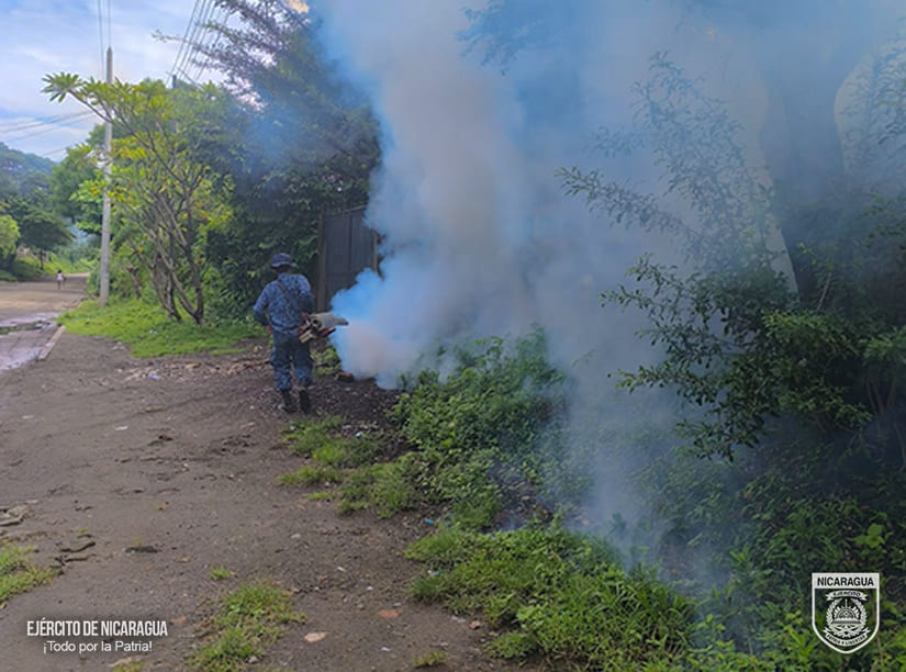 fumigar6