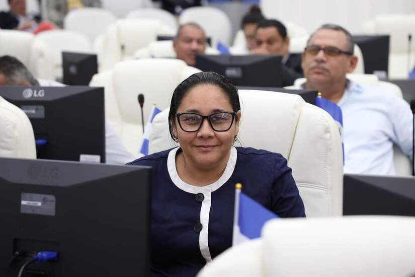 DIPUTADOS2