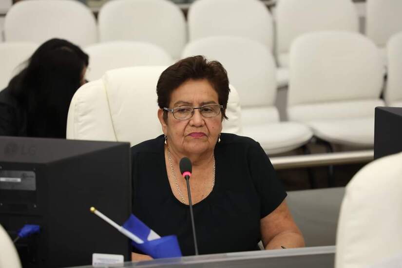 DIPUTADOS3