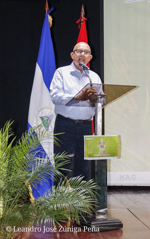 cinemateca16