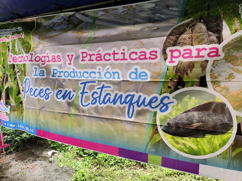 PECES9