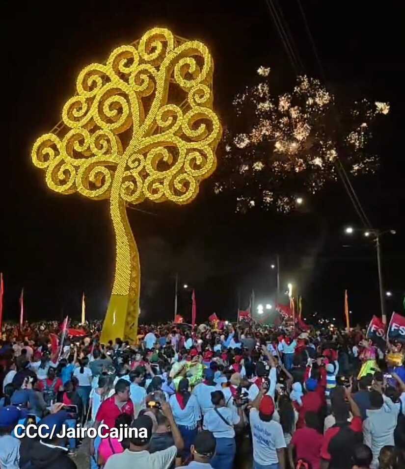 ARBOL-(2)