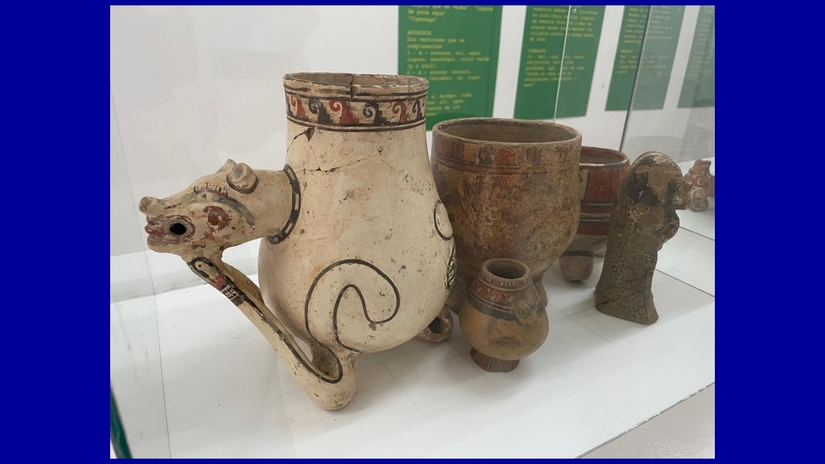 museo-30
