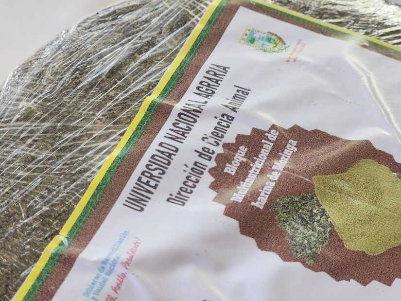 MORINGA13