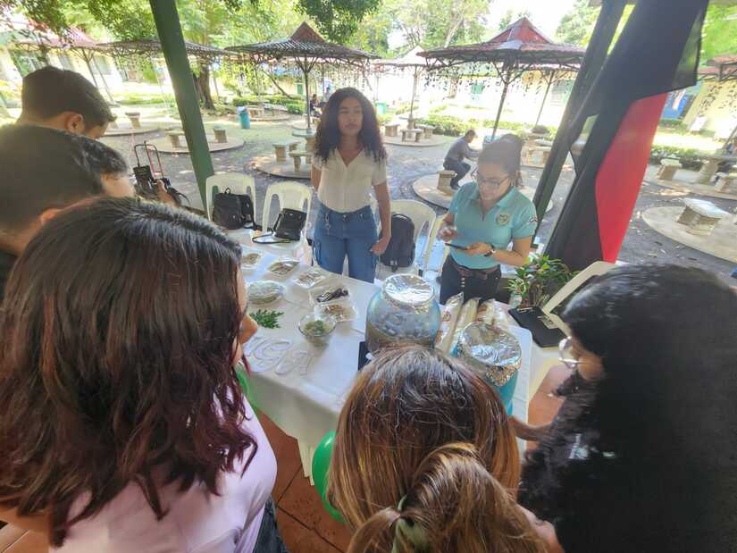 MORINGA18