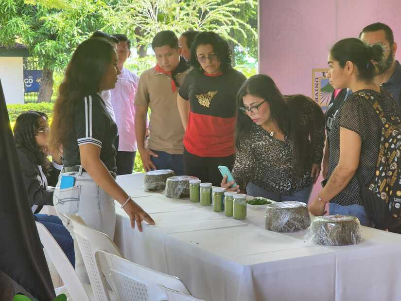 MORINGA21