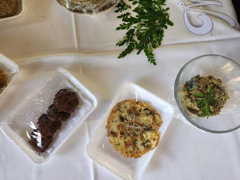 MORINGA3