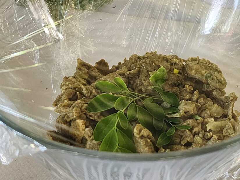 MORINGA4