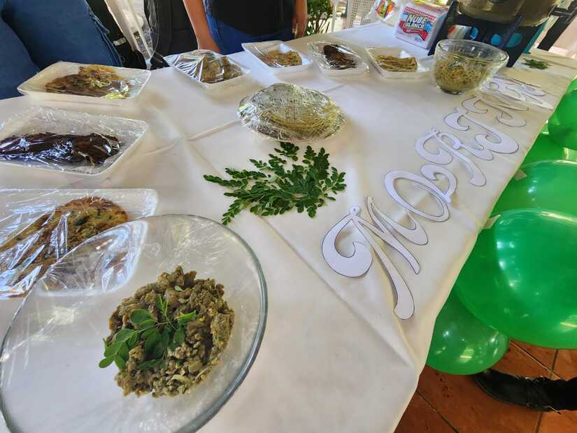 MORINGA5