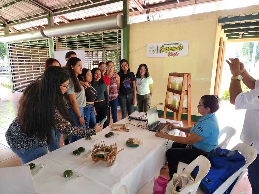 MORINGA7