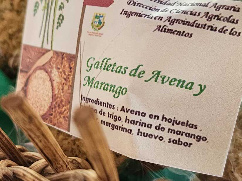 MORINGA9