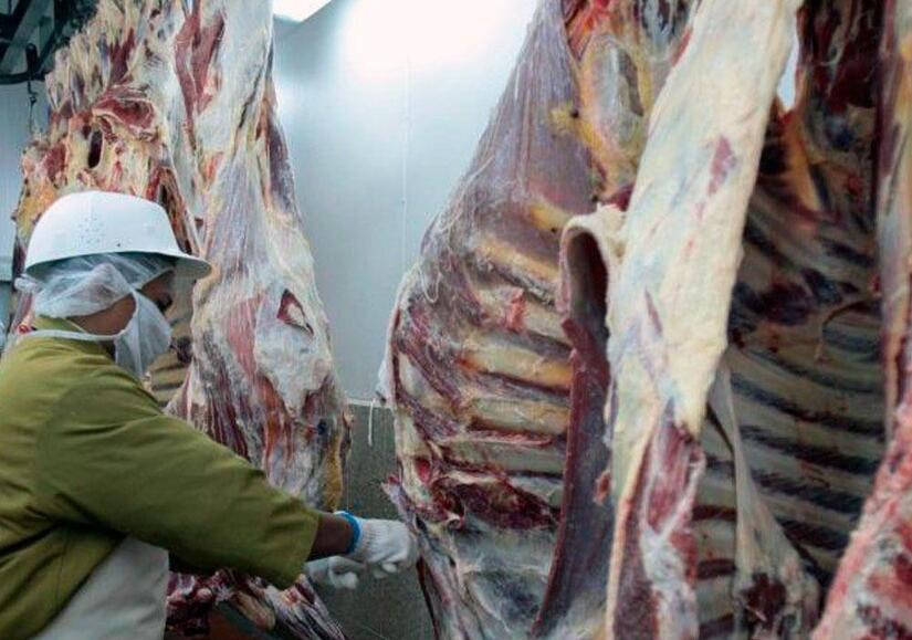 CARNE2