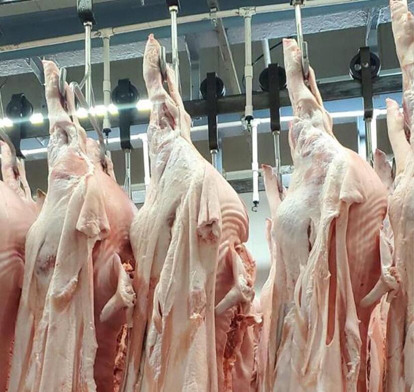 CARNE1