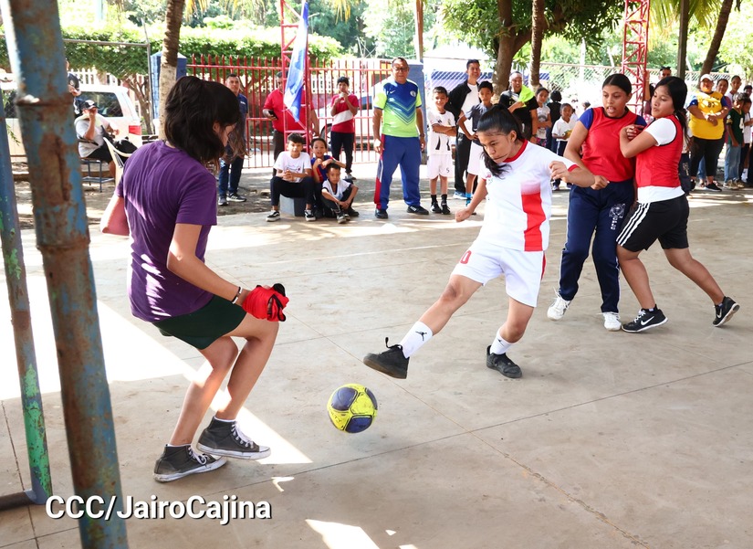 colegios-(6)