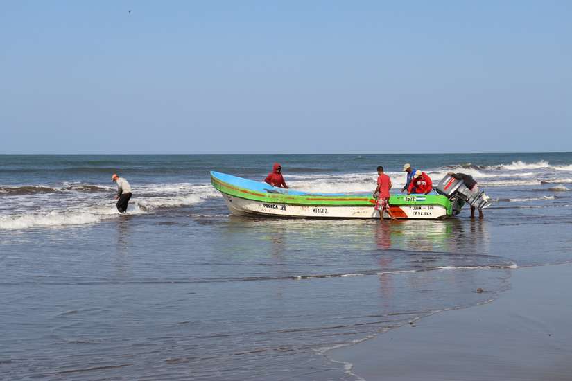 PESCA3